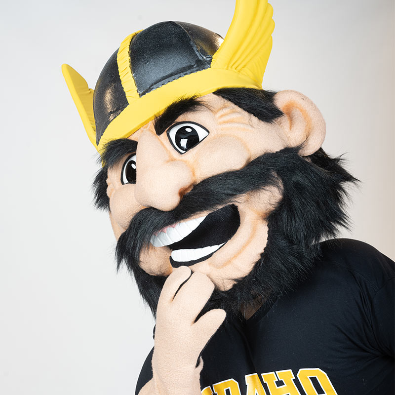 portrait of Joe Vandal mascot