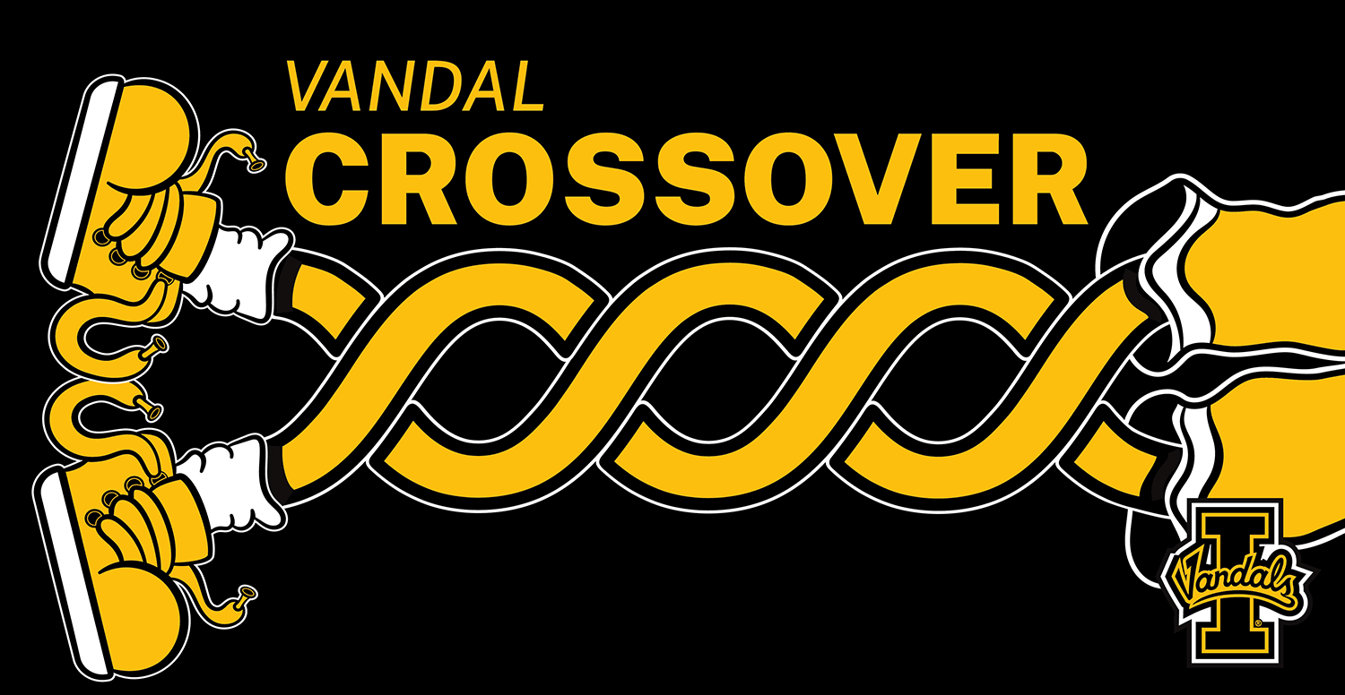 Crossover court backboard
