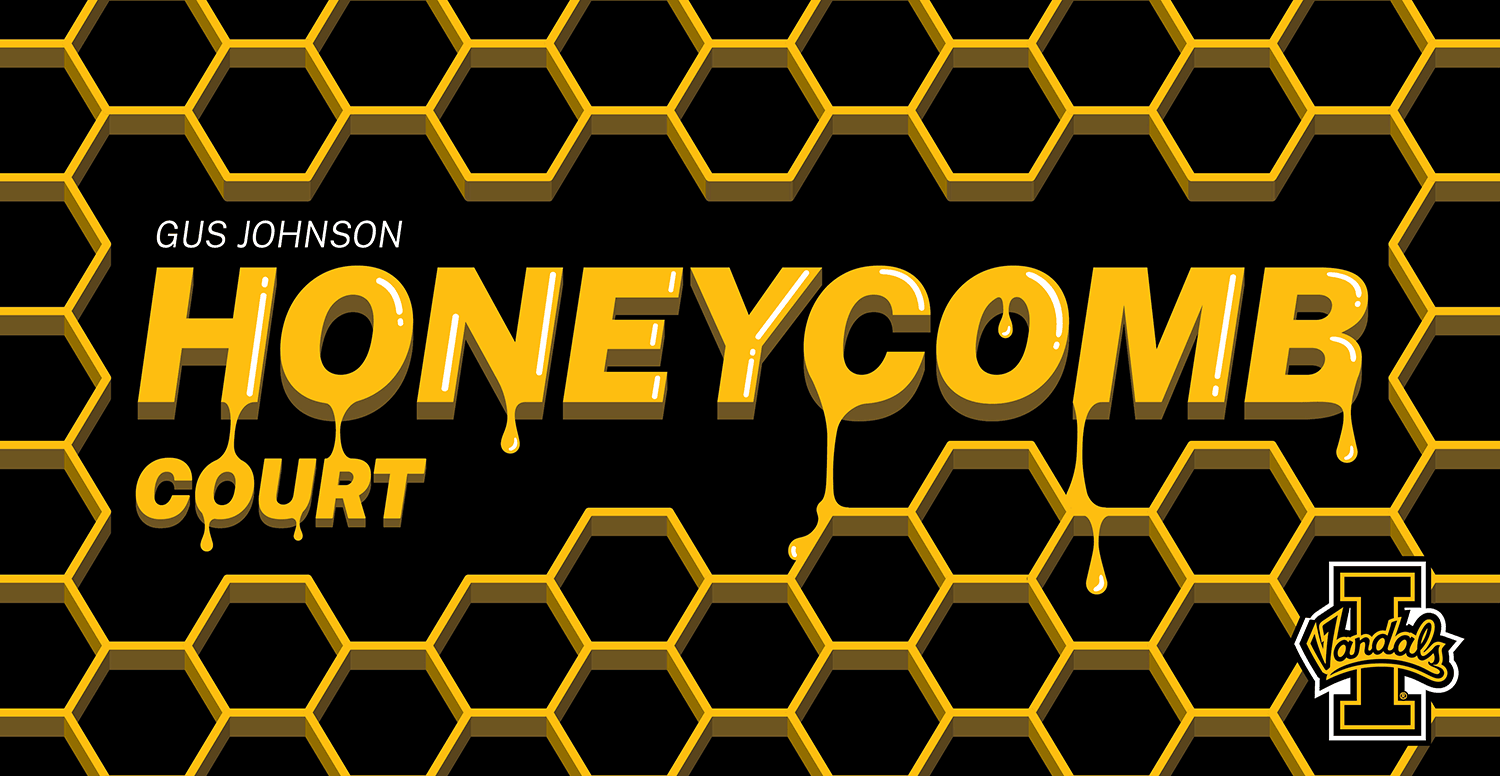 Honeycomb court backboard