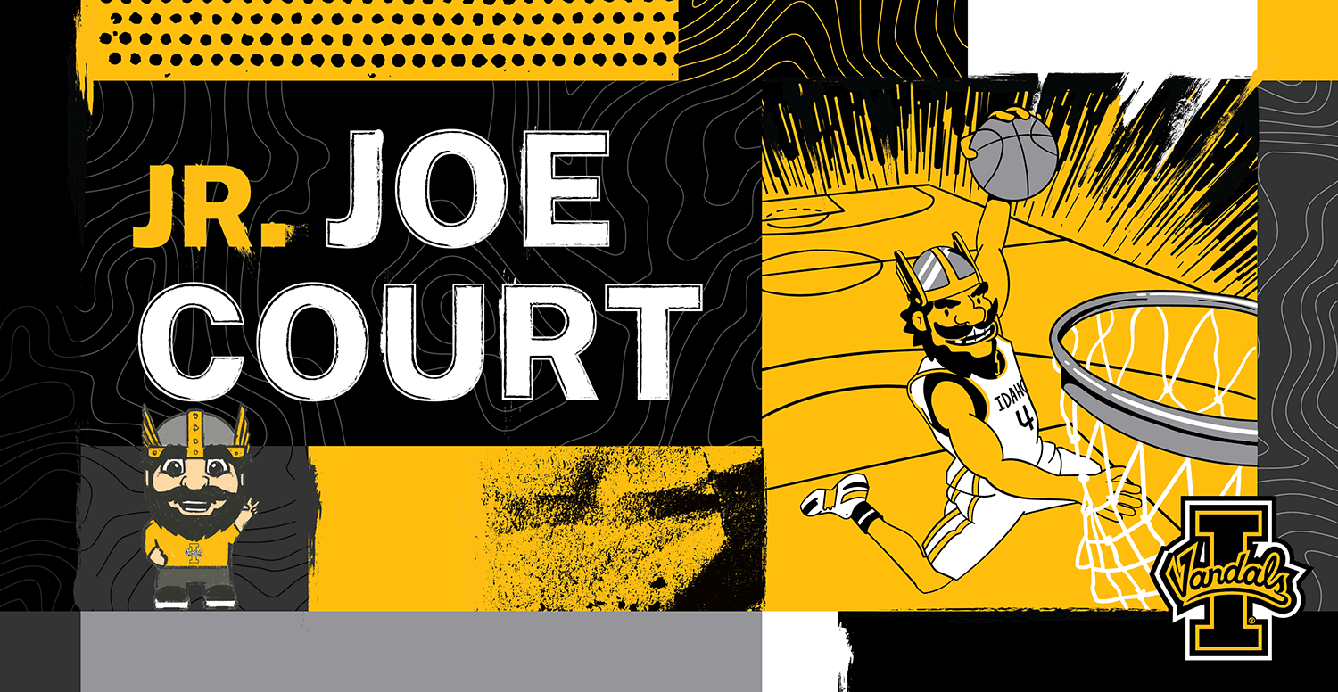 Jr. Joe Vandal court backboard