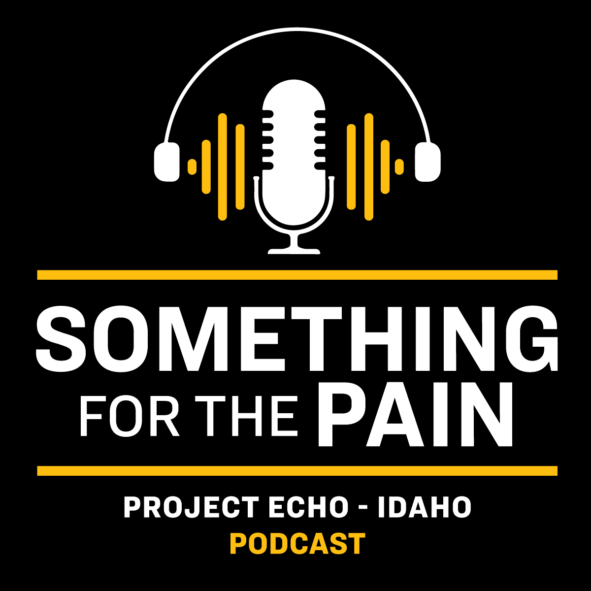 Something for the Pain - ECHO Idaho Podcast artwork