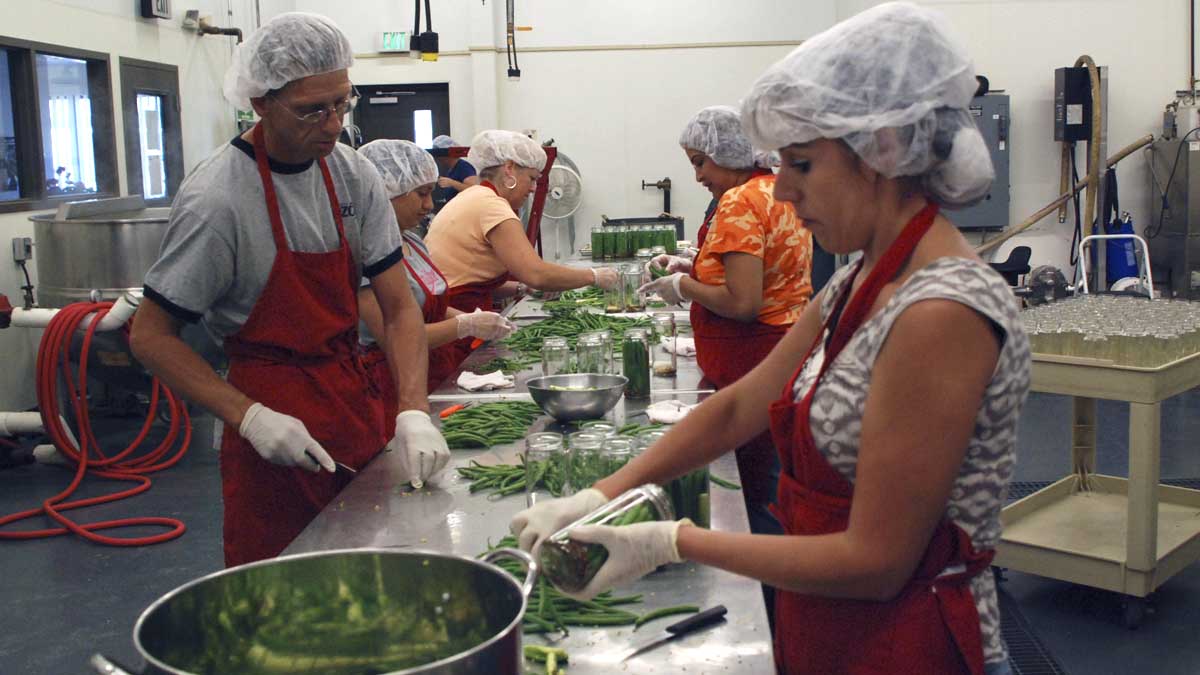 Assembly line of workers canning beans