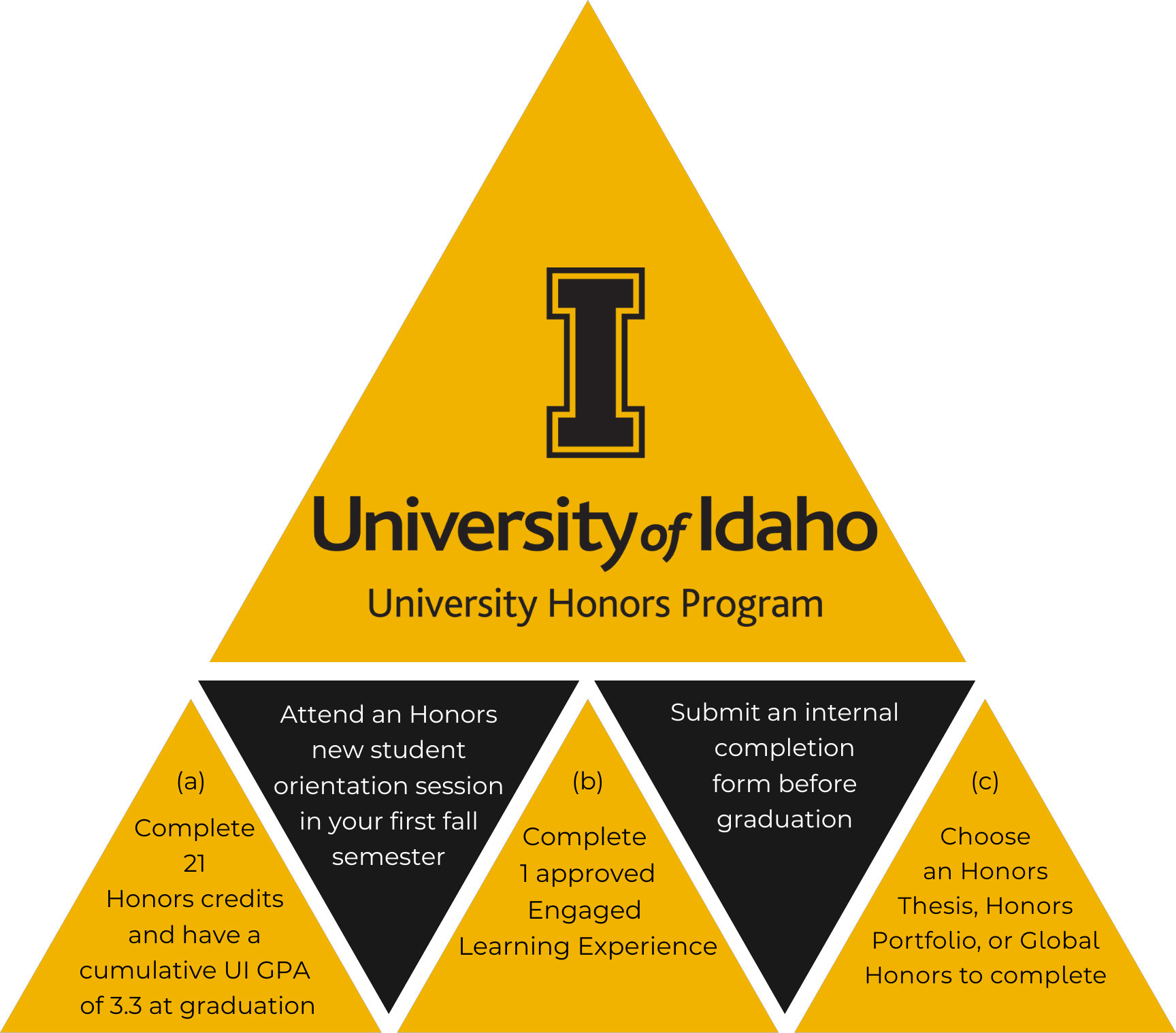 infographic