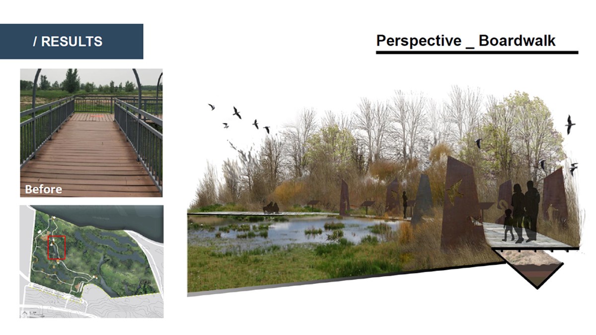 Landscape Architecture student project for a boardwalk through a wetland, including a before picture of the current wooden boardwalk and a rendering of a proposed design for a lowered walkway lined with modern sculpture.