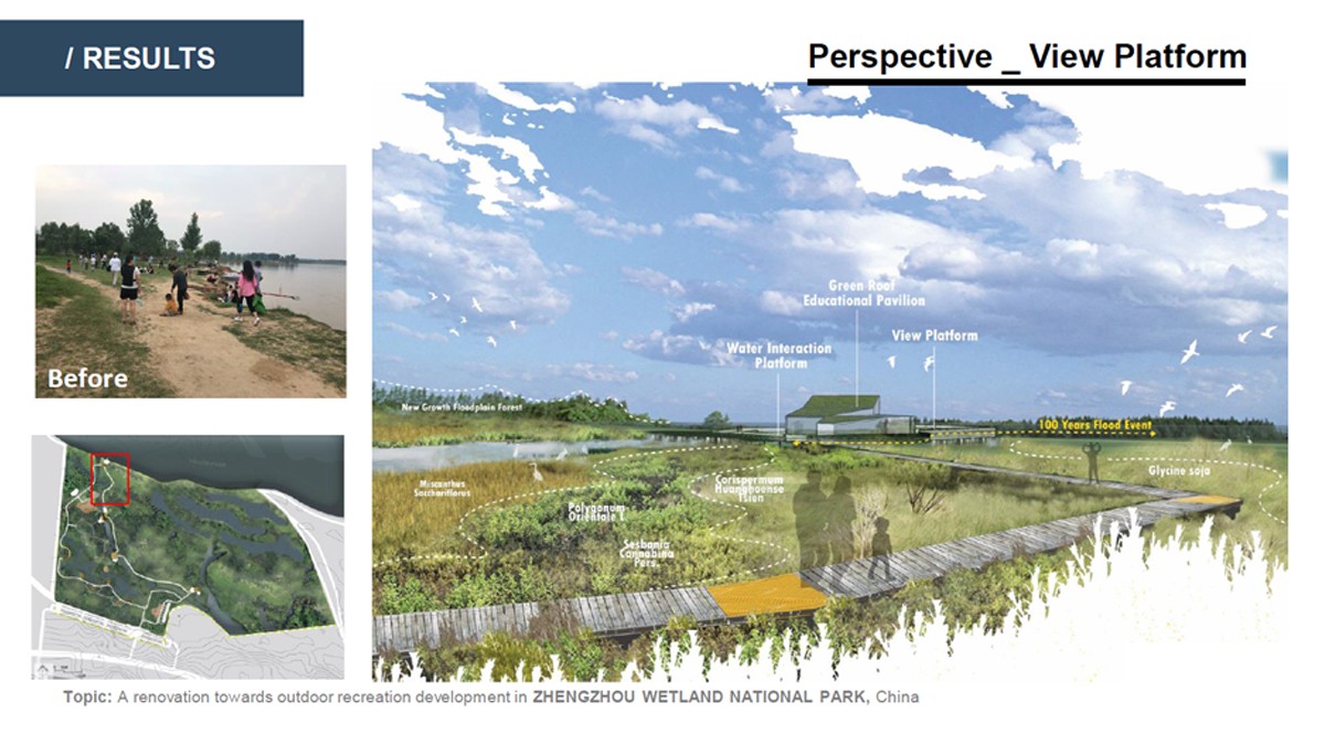 Landscape Architecture student project for a boardwalk through a wetland, birdseye view of the proposed plan.