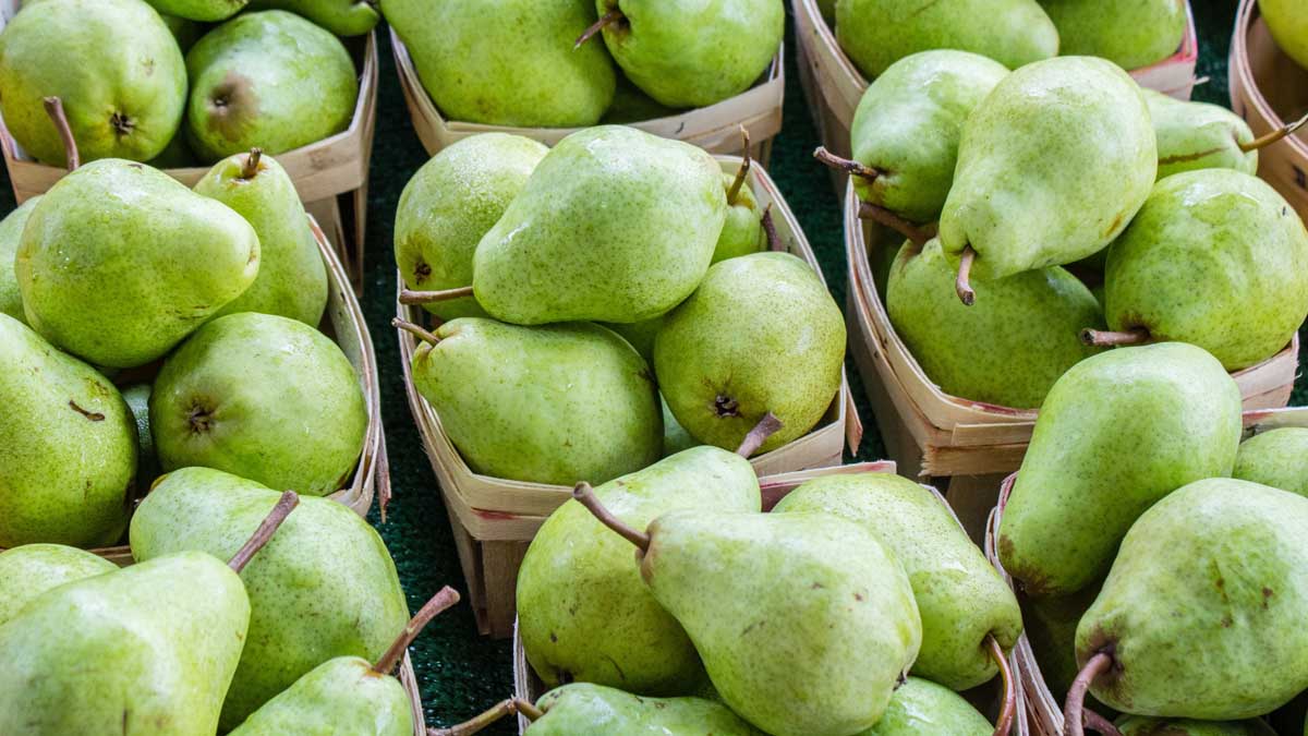 Lot of pears in crates