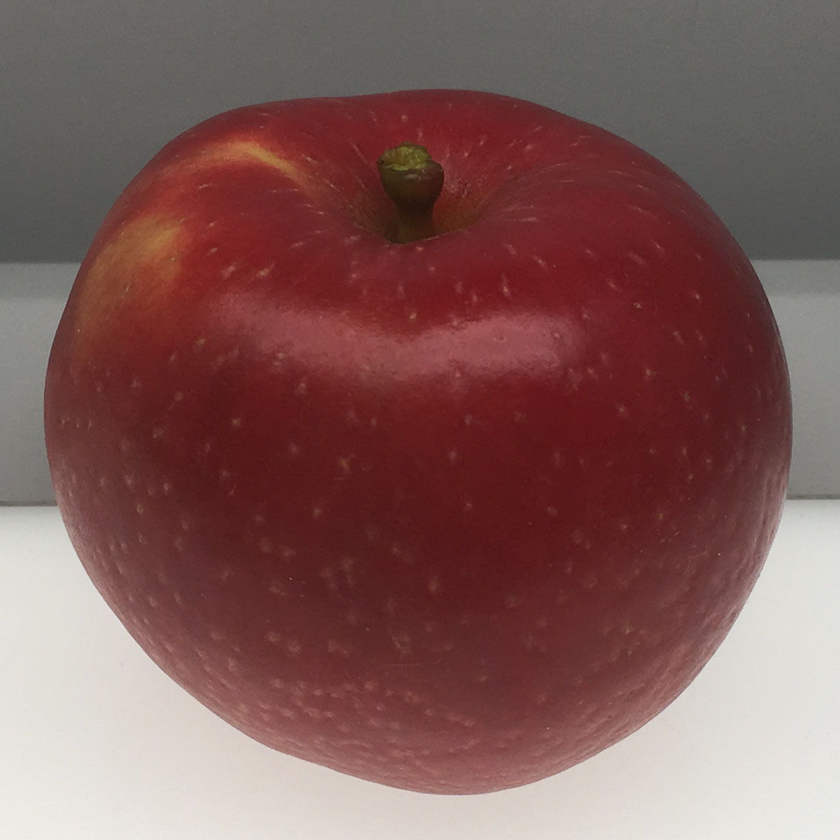 Spitzenberg apple