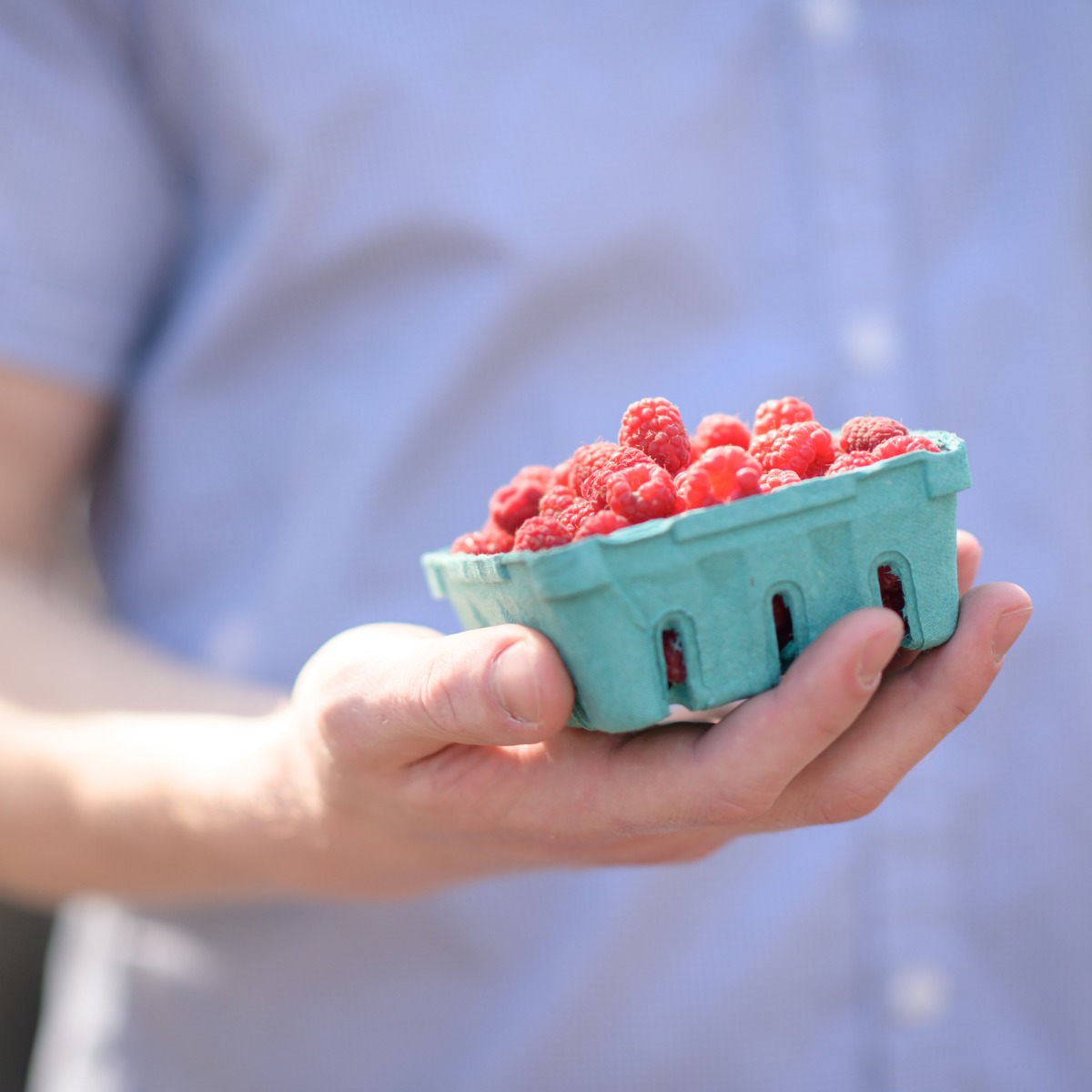 A hand holds a basket of ripe berries.