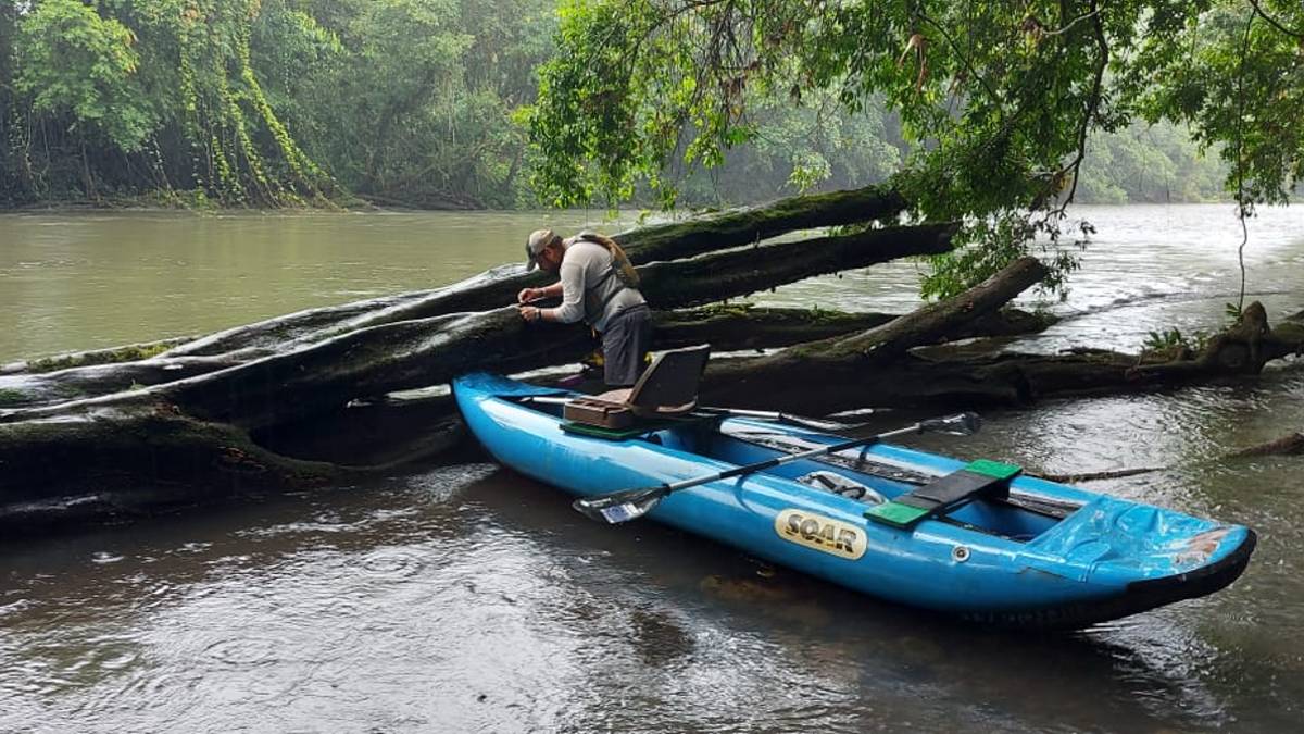 Man in boat observing fallen tree on river.