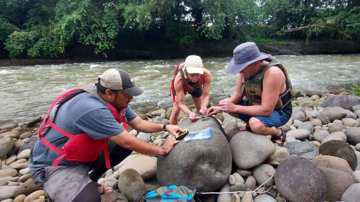 Three people kneel next to rock to collect scat.