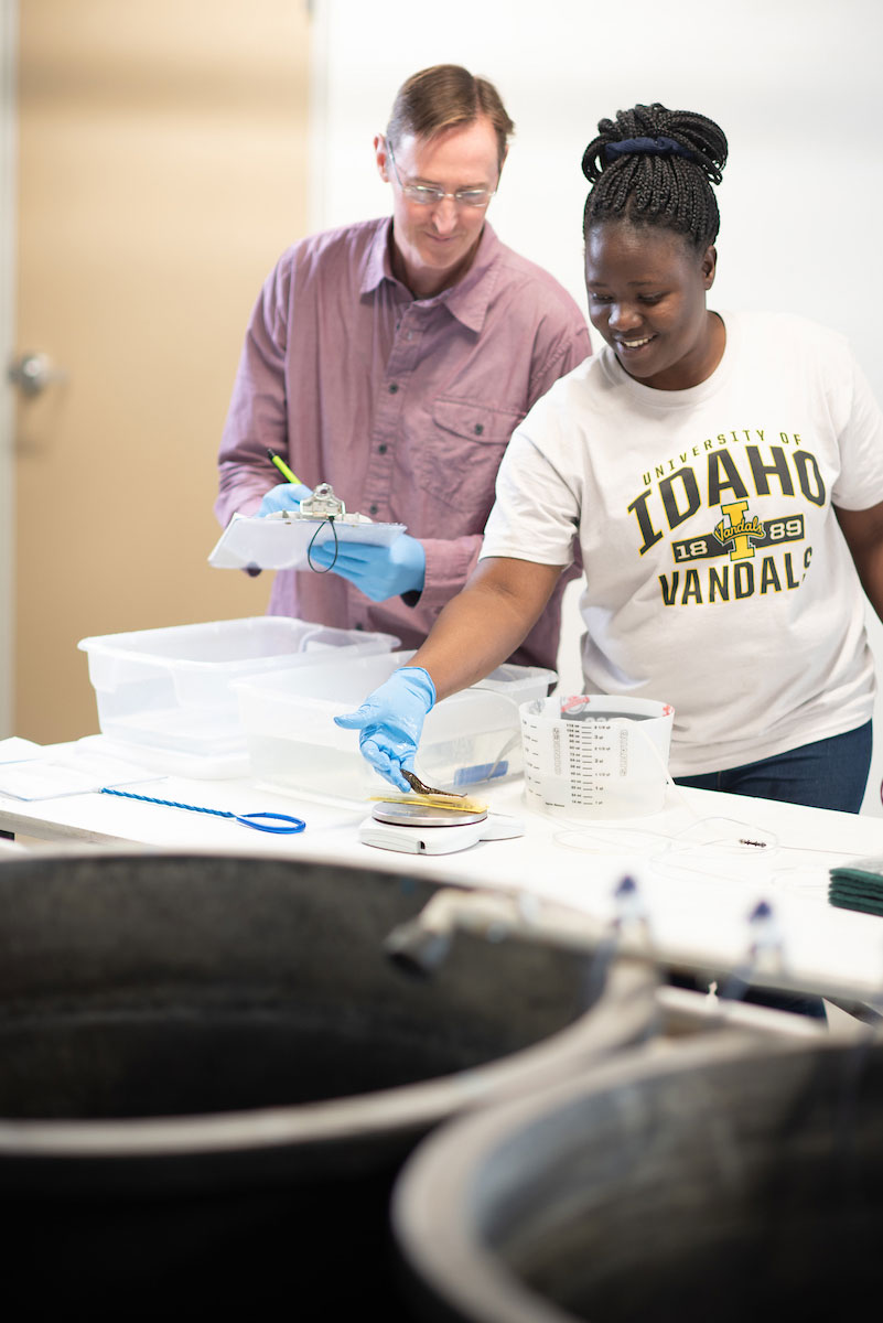 graduate students measuring a small burbot