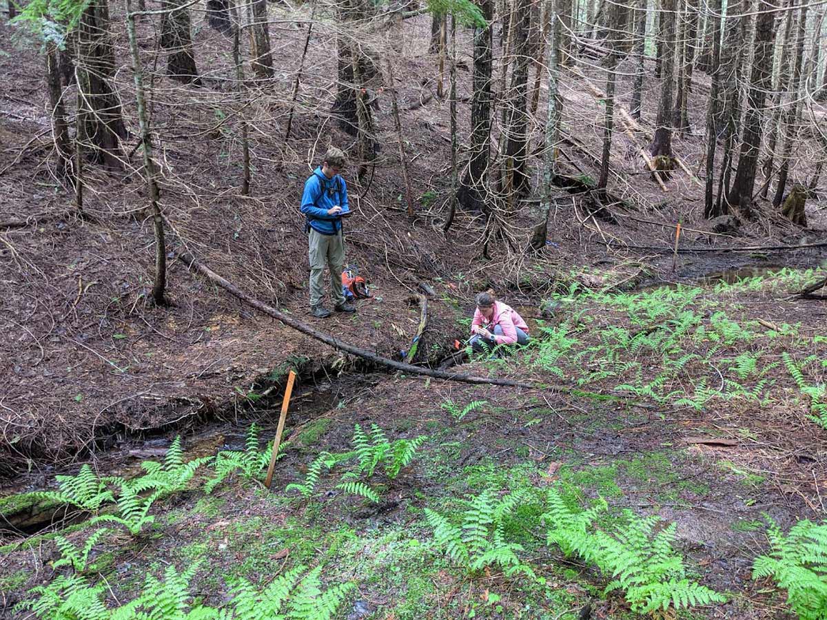 University of Idaho senior Clayton Christensen and U of I student Katherine Loos download stream temperature data on a non-fish bearing stream in Eastern Washington.