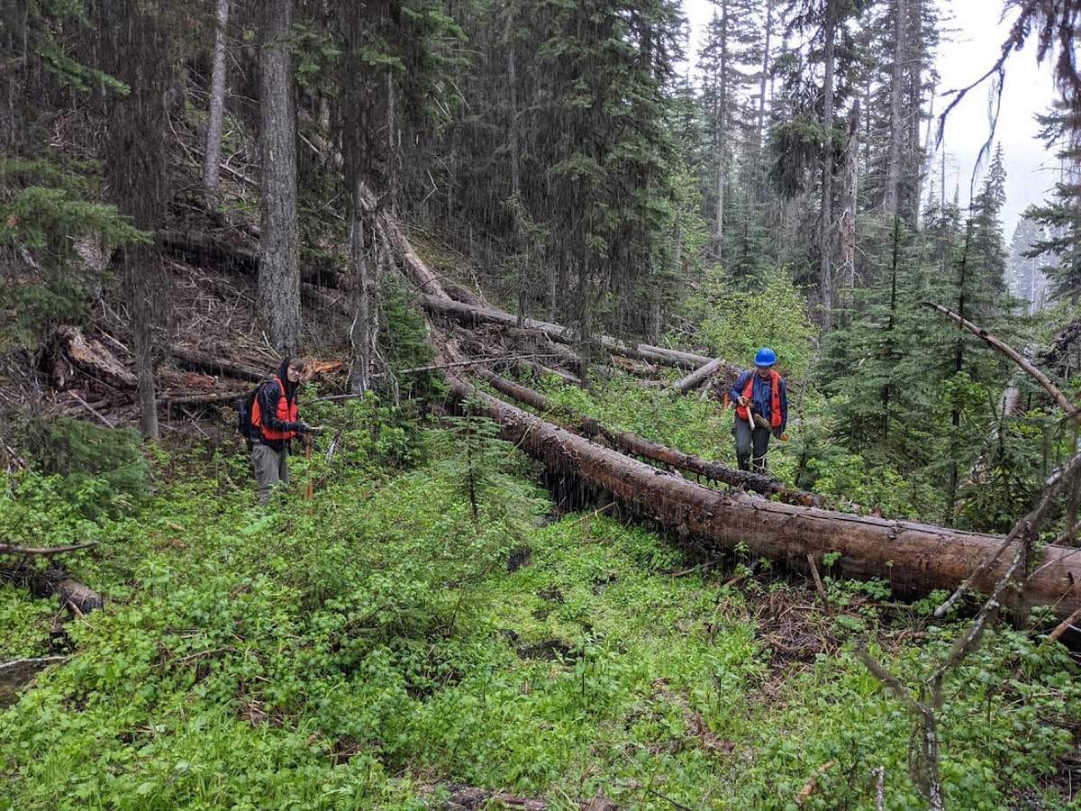 Clayton Christensen and Katherine Loos install steam survey markers on a small tributary in an early summer hailstorm.