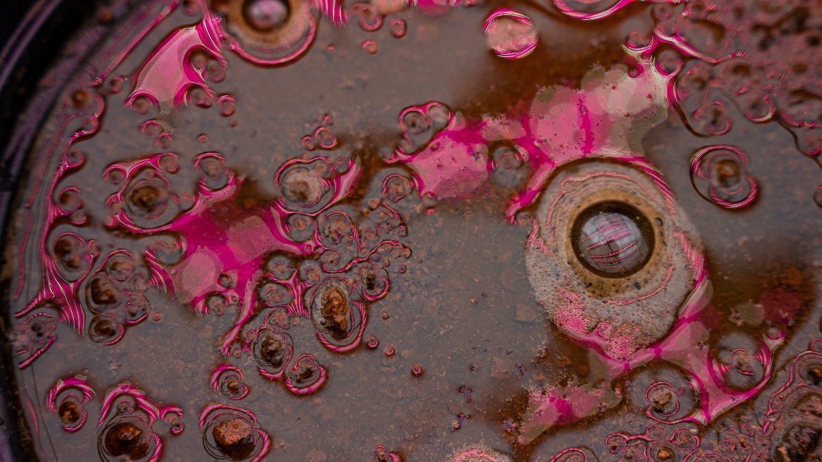 Closeup of magnifying glass with pink bacteria and dirt