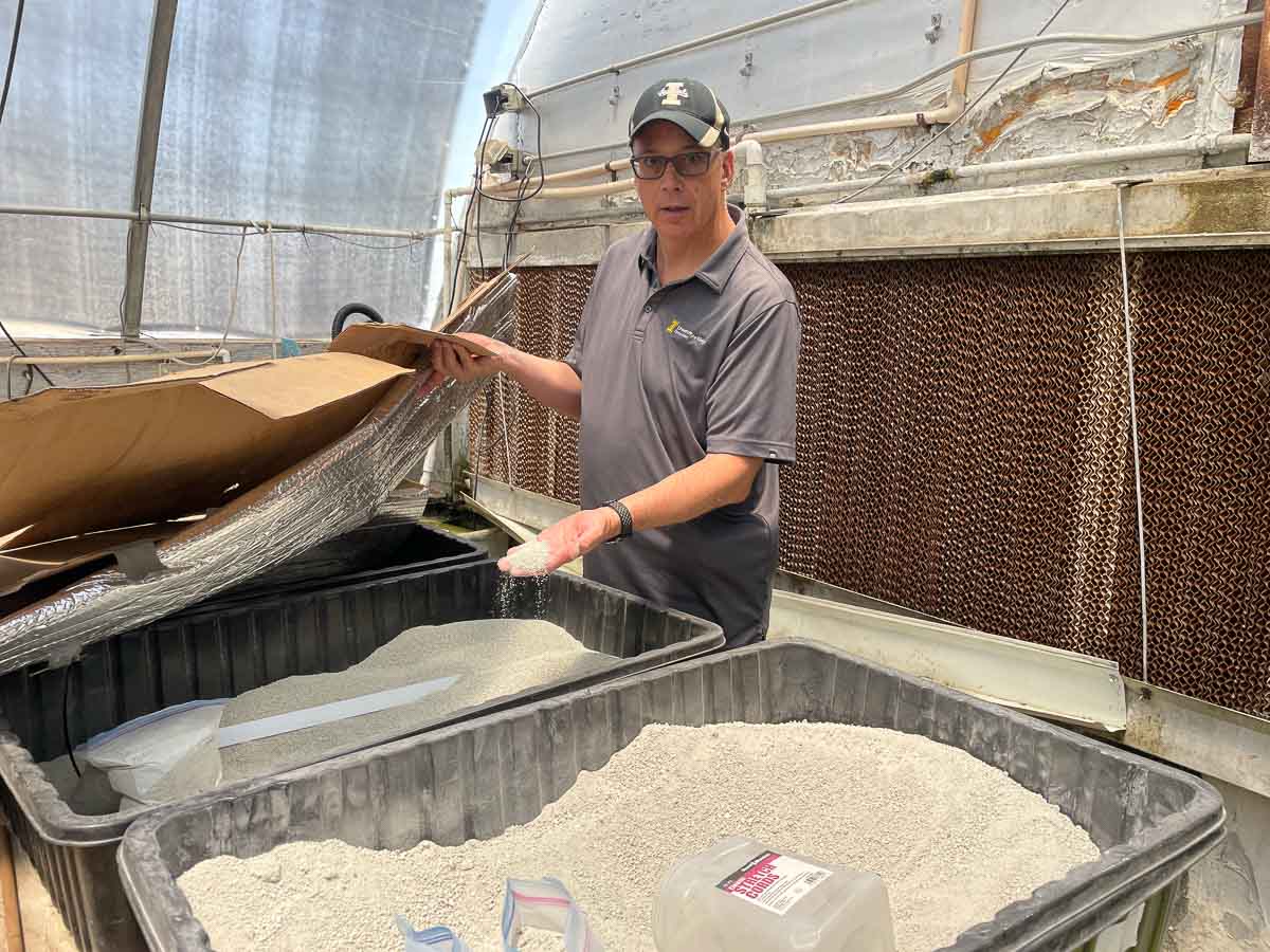 A man holds a handful of mineral amendments in a greenhouse.