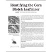 Identifying the Corn Blotch Leafminer