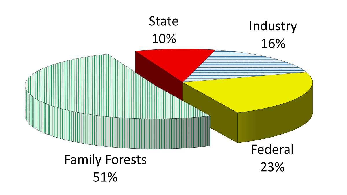 51% of forest acres in Benewah County are family forests. 23% are Federal lands, 16% owned by industry and 10% state lands.