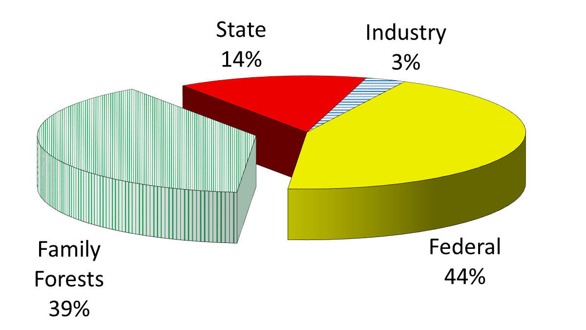 39% of forest acres in Bonner County are family forests. 44% are Federal lands, 3% owned by industry and 14% state lands.