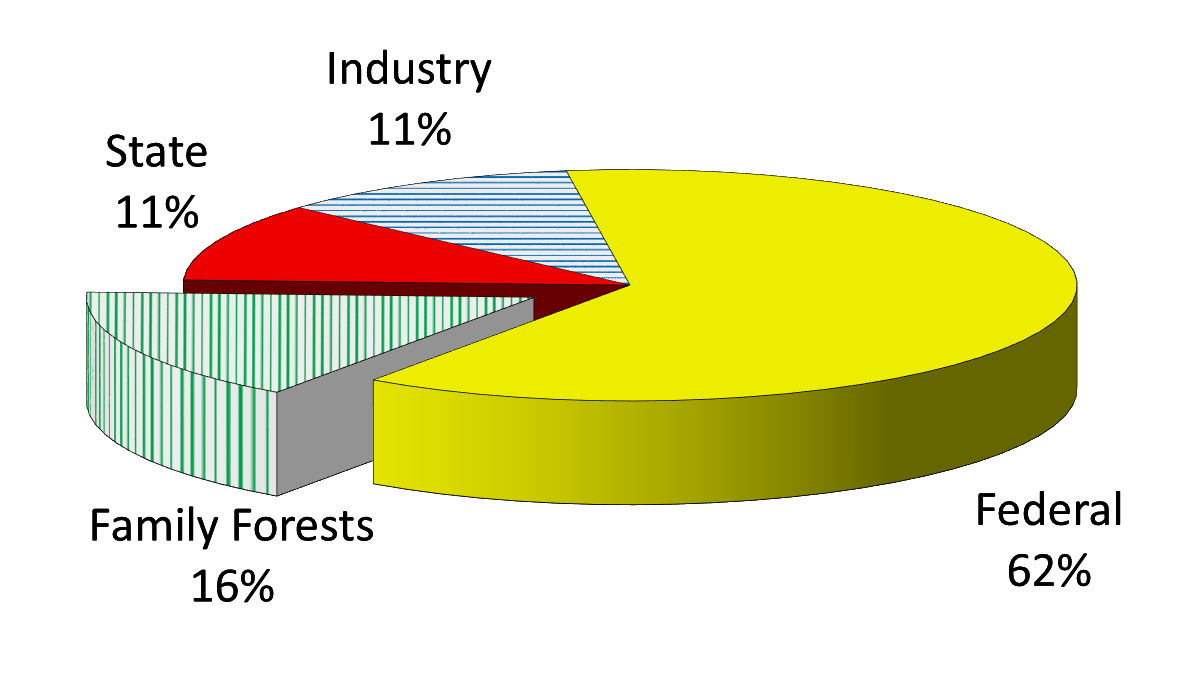 62% of forest acres in Boundary County are Federal lands. 16% are family forests and 11% each are owned by industry and state lands.