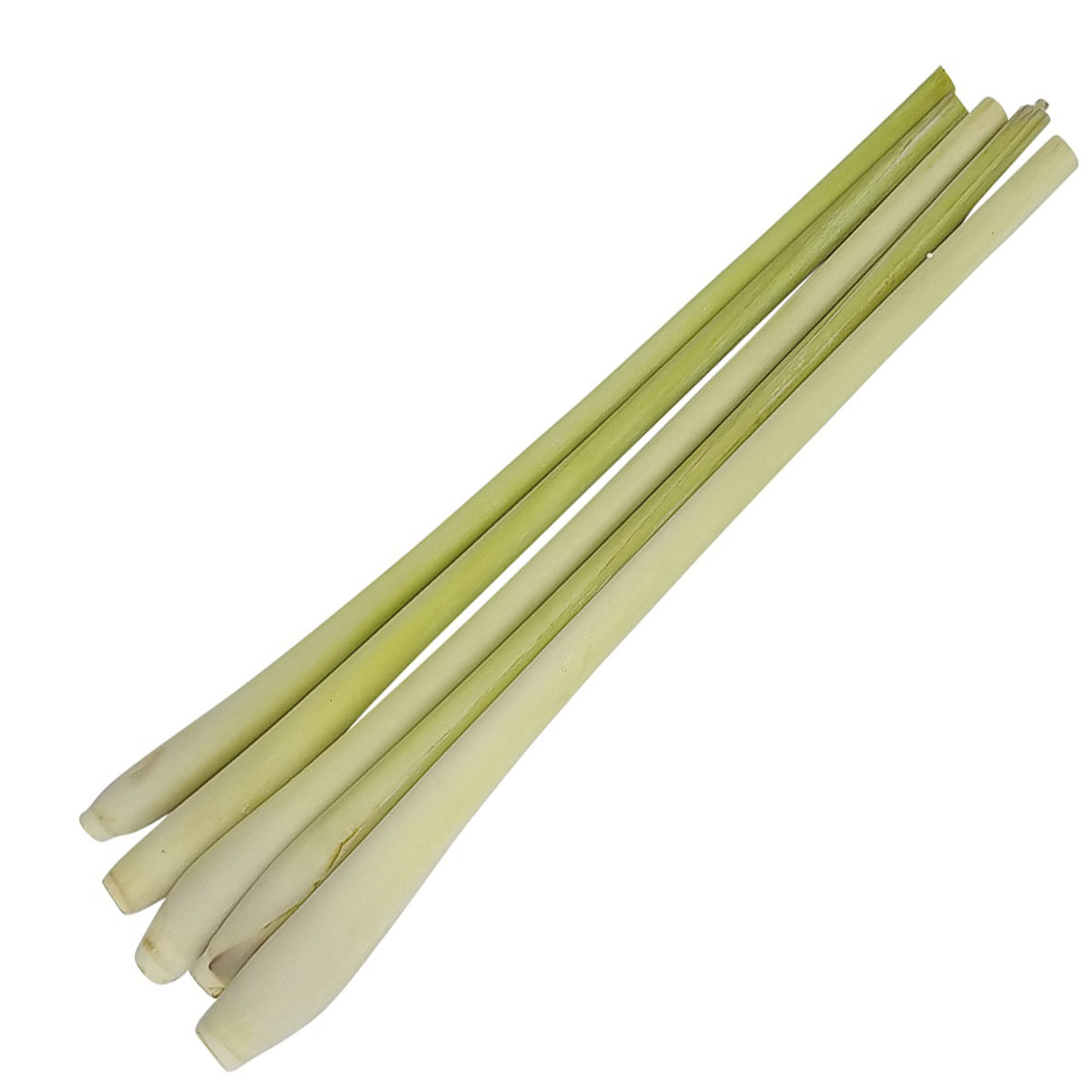 trimmed lemongrass stalks.