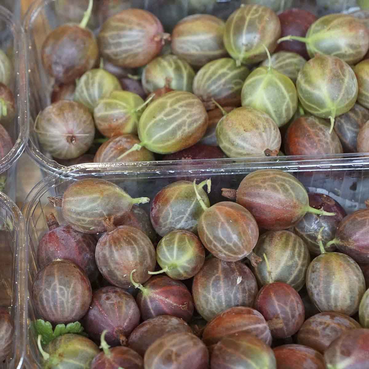 Cartons of translucent ripe gooseberries.