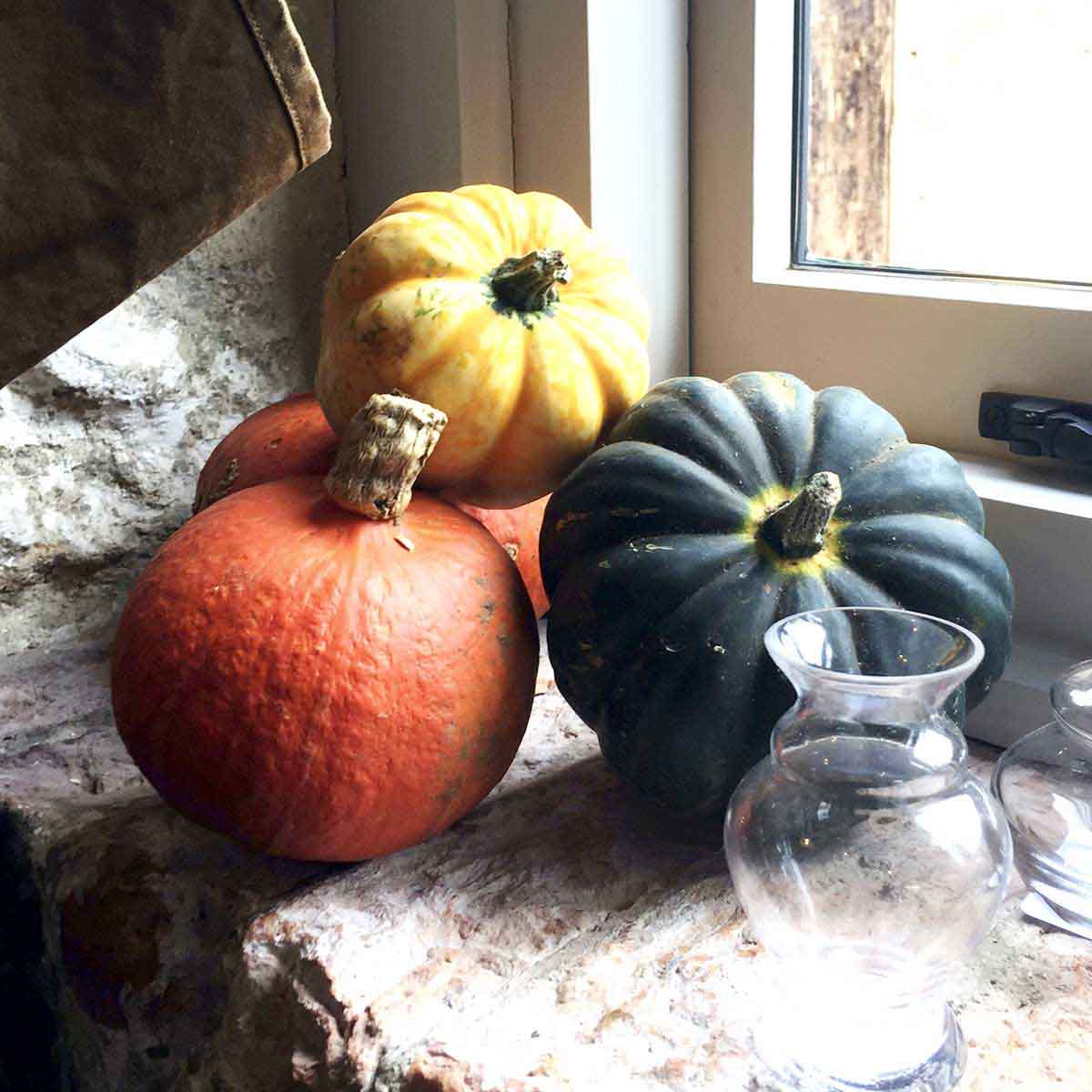 Red, yellow and green winter squash stacked on counter top.