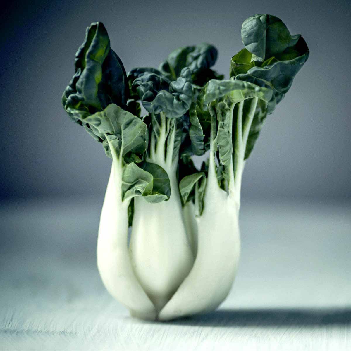 Bokchoy head stands on its own.