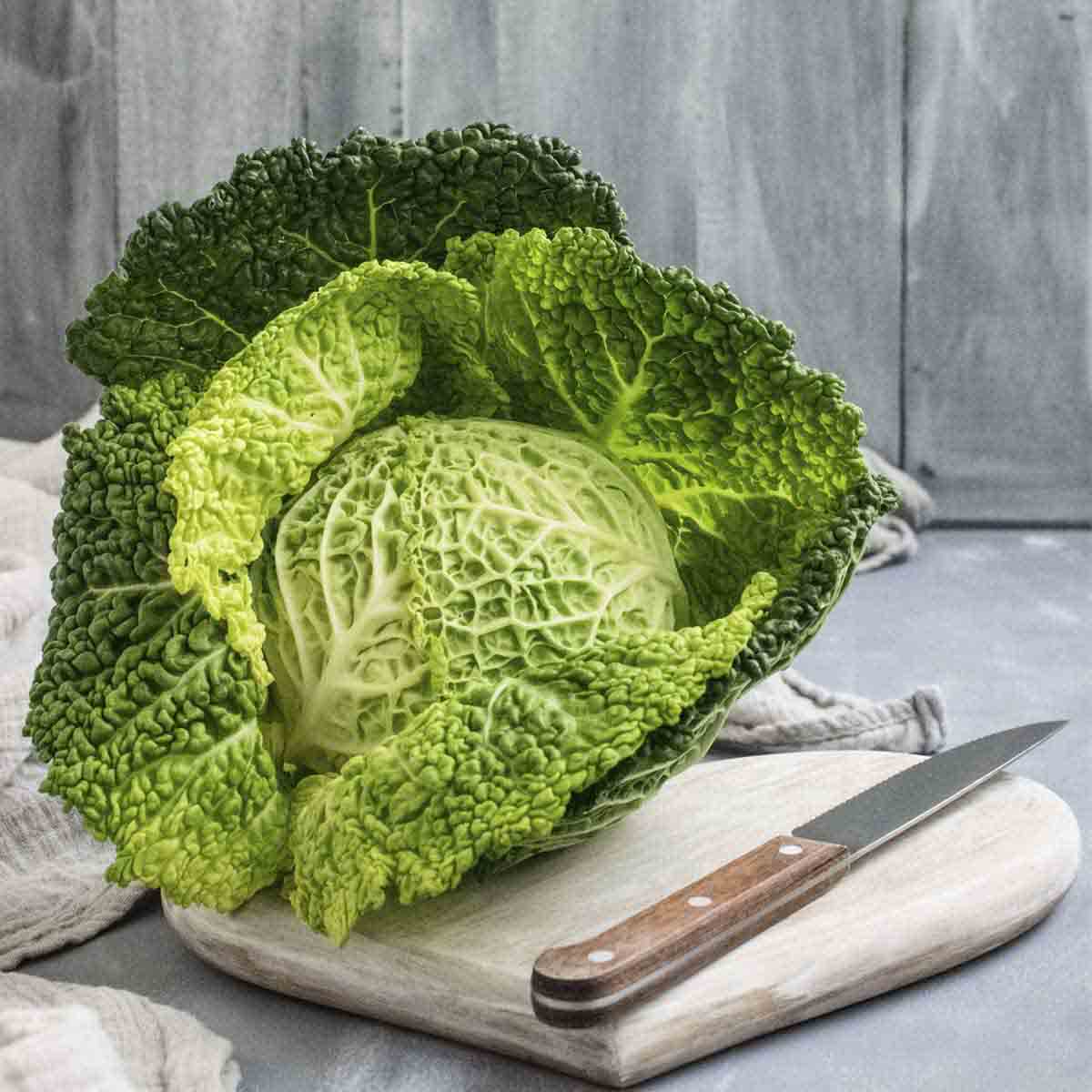 Ruffly savoy cabbage on a cutting board.