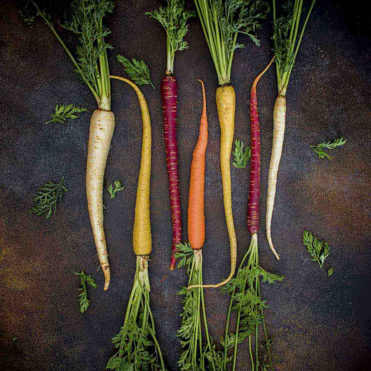 White, yellow, purple and orange carrots in a row.