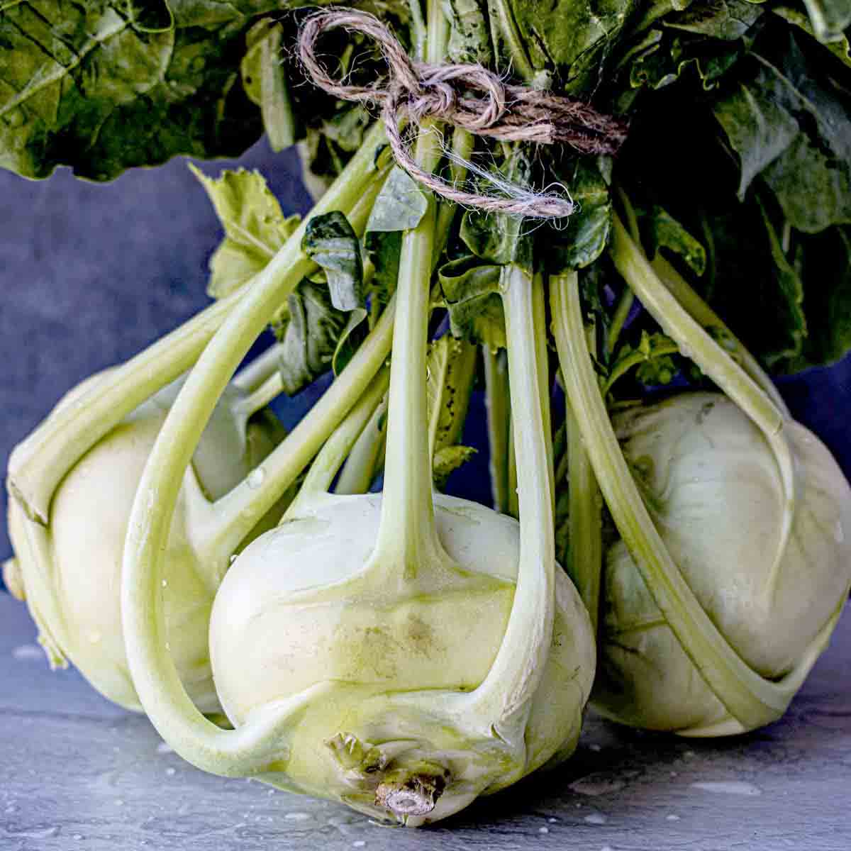 Kohlrabi bulbs tied in a bundle.