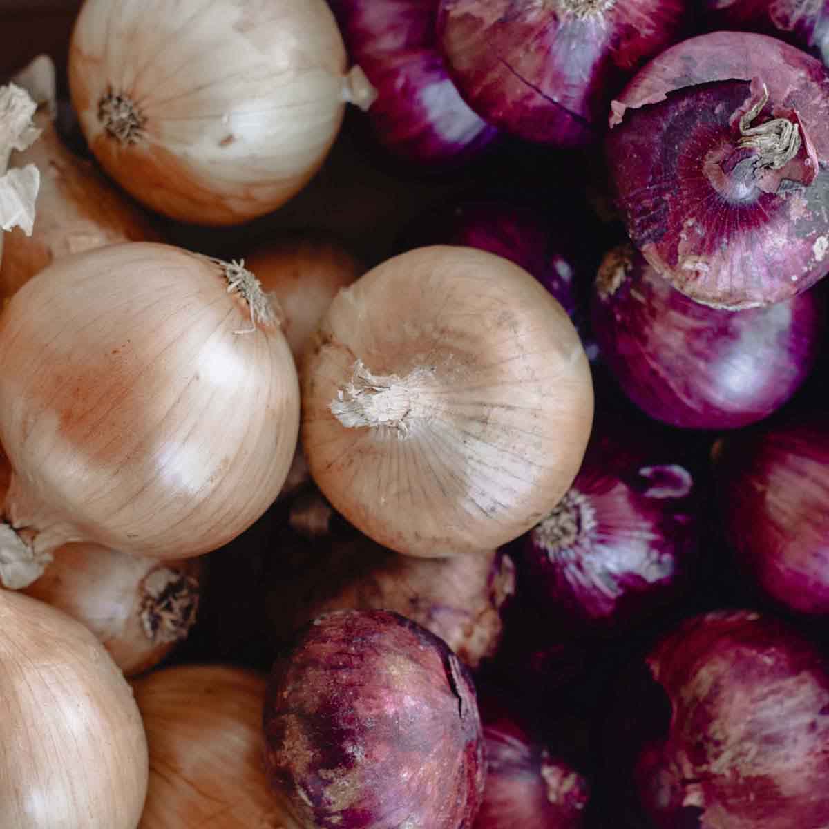 Yellow and purple onions.