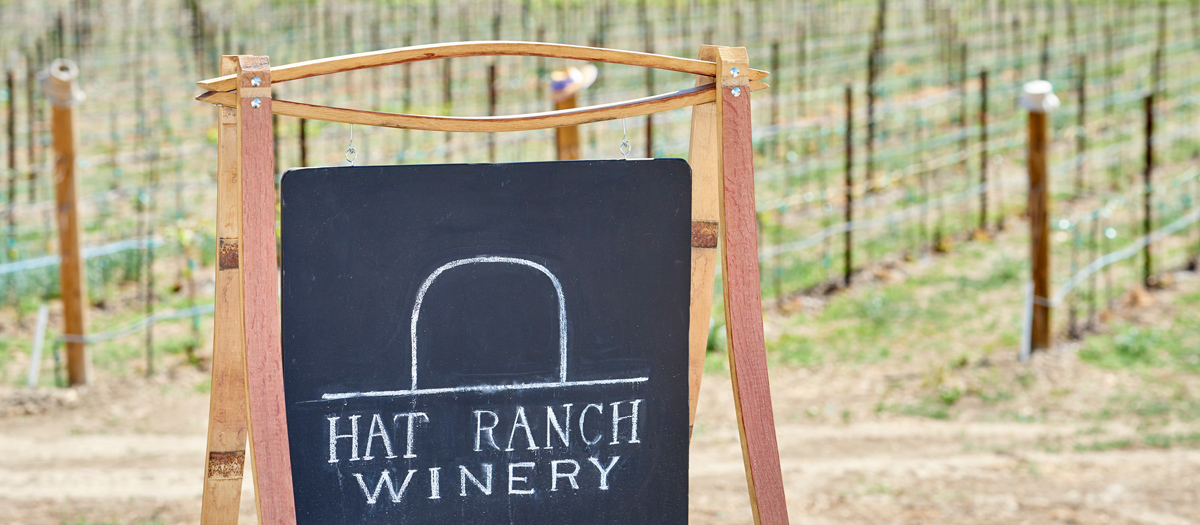 The Hat Ranch Winery logo, with their vineyard in the background.
