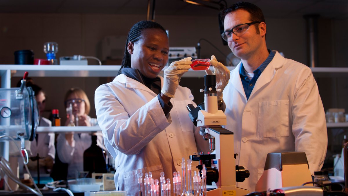 UI students working in the lab.