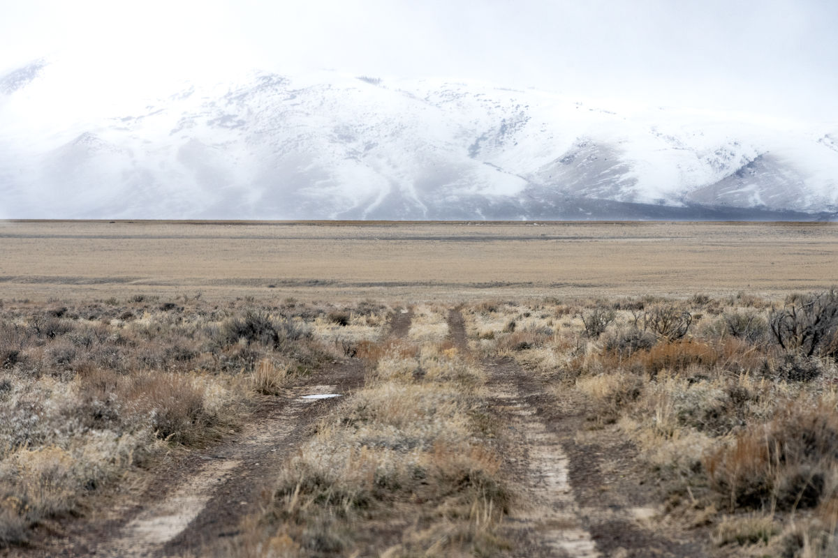 Sagebrush and mountains.