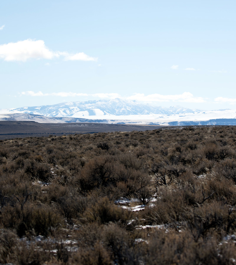 Sagebrush and mountains.