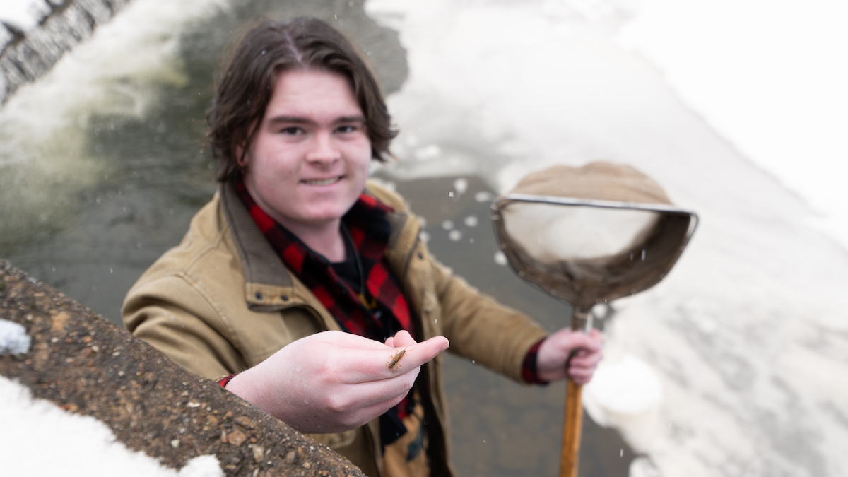 UIdaho student, Jack Stafford, collecting aquatic insects in a stream near Potlatch, Idaho.