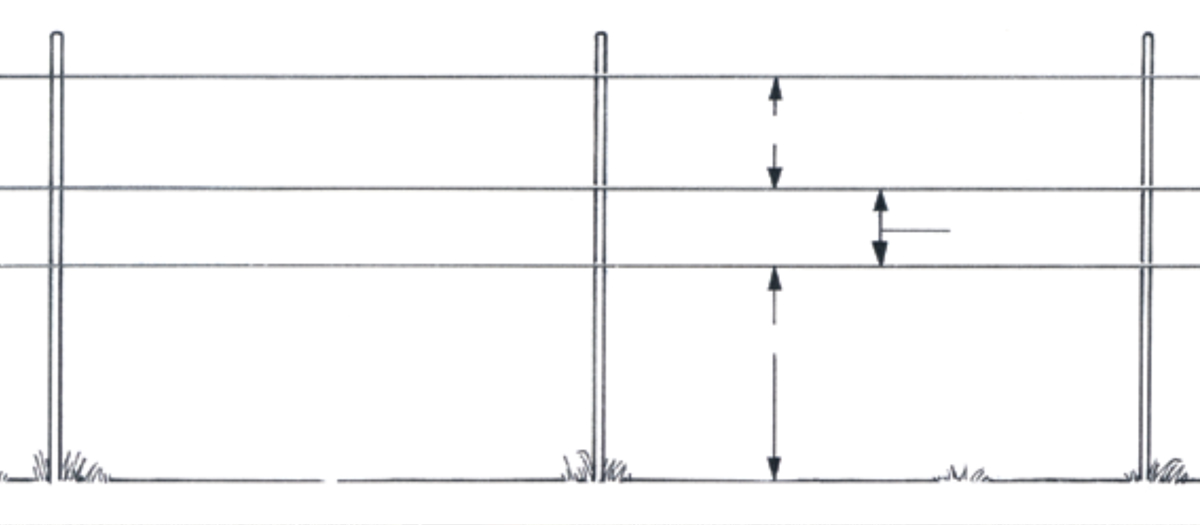 Wildlife friendly new fence diagram